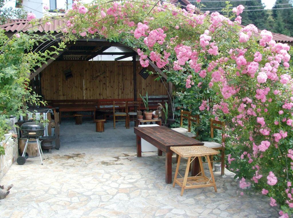 Guesthouse Classic دوسبات المظهر الخارجي الصورة